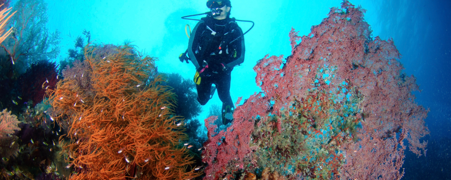 Raja Ampat Diving